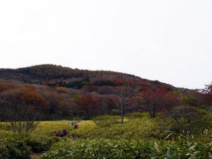 秋の皿ケ嶺